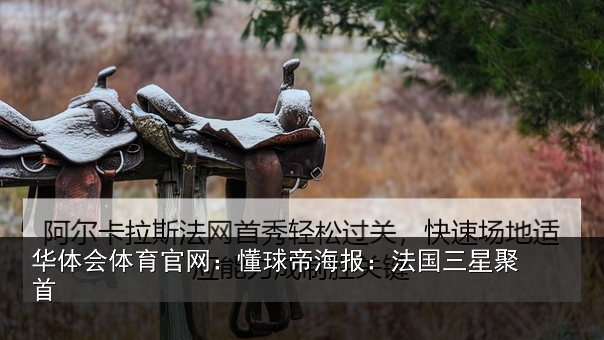 华体会体育官网：懂球帝海报：法国三星聚首